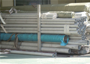 Stainless Steel Seamless Tube ASTM A312 TP304 NPS 10 inch Used for Gas