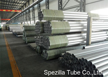 Stainless Steel Seamless Tube ASTM A312 TP304 NPS 10 inch Used for Gas